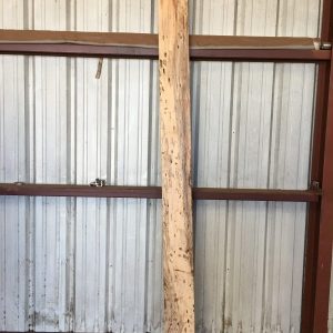 Pecan Slab<br>Item P1<br>4" x 7" - 108 3/4"