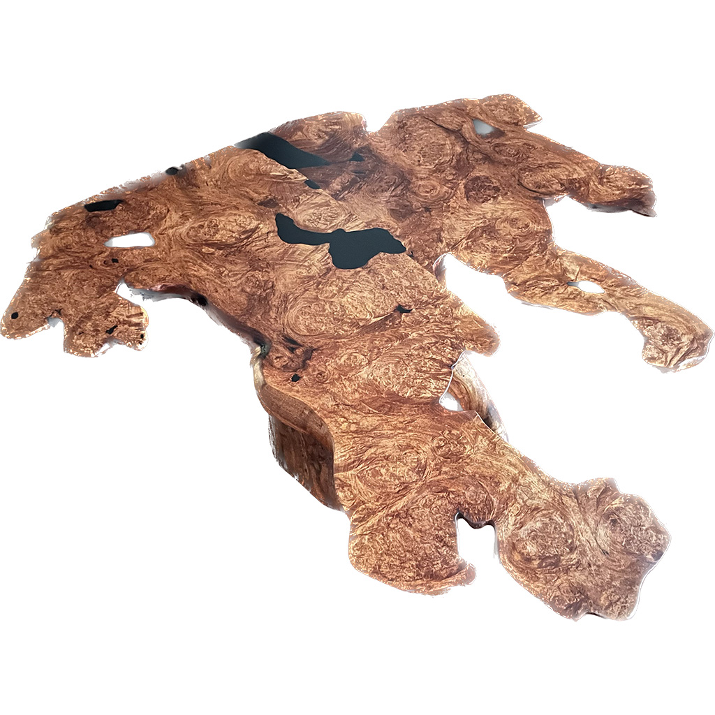 Mesquite Burl Coffee Table