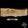 G52312 Post Oak Slab