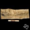 G5237 Post Oak Slab