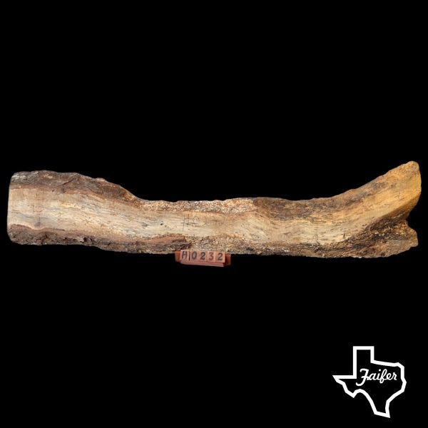H0232 Pecan Slab