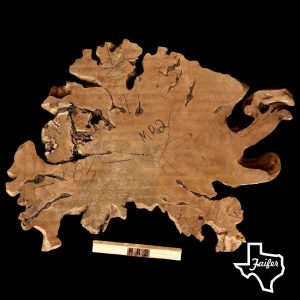 MR2 Mesquite Round Burl