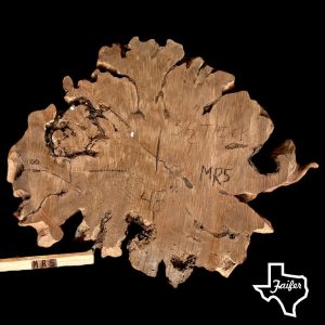 MR5 Mesquite Round Burl