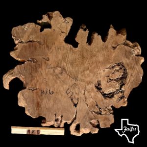 MR6 Mesquite Round Burl