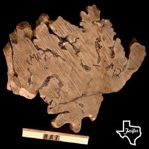 MR7 Mesquite Round Burl