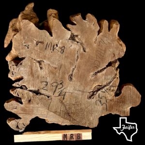 MR8 Mesquite Round Burl